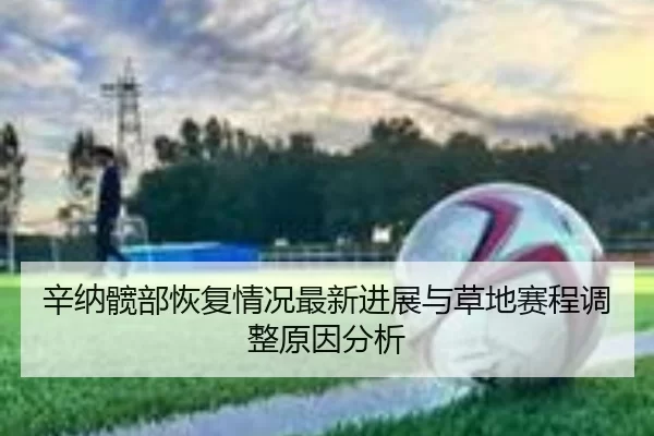辛纳髋部恢复情况最新进展与草地赛程调整原因分析